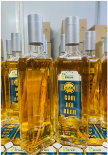 RƯỢU CÓ CỦ SÂM 500ML 29.5 ĐỘ ( Thùng 10 chai)